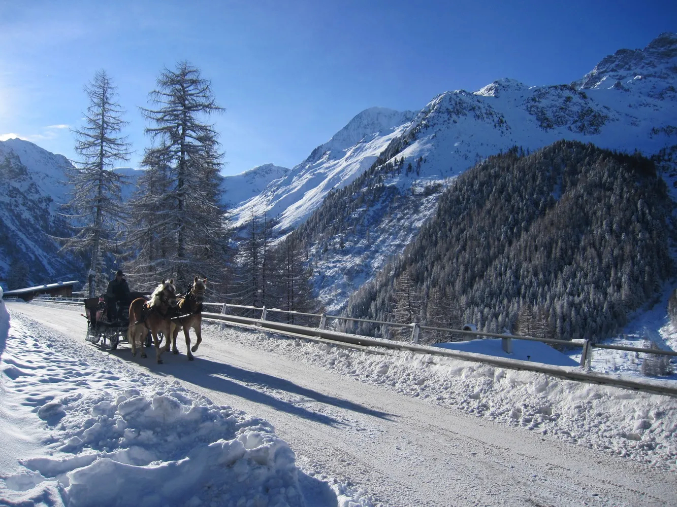 MAGIA d'INVERNO nelle DOLOMITI: giro in CARROZZA al Lago di DOBBIACO e passeggiata al Lago di BRAIES