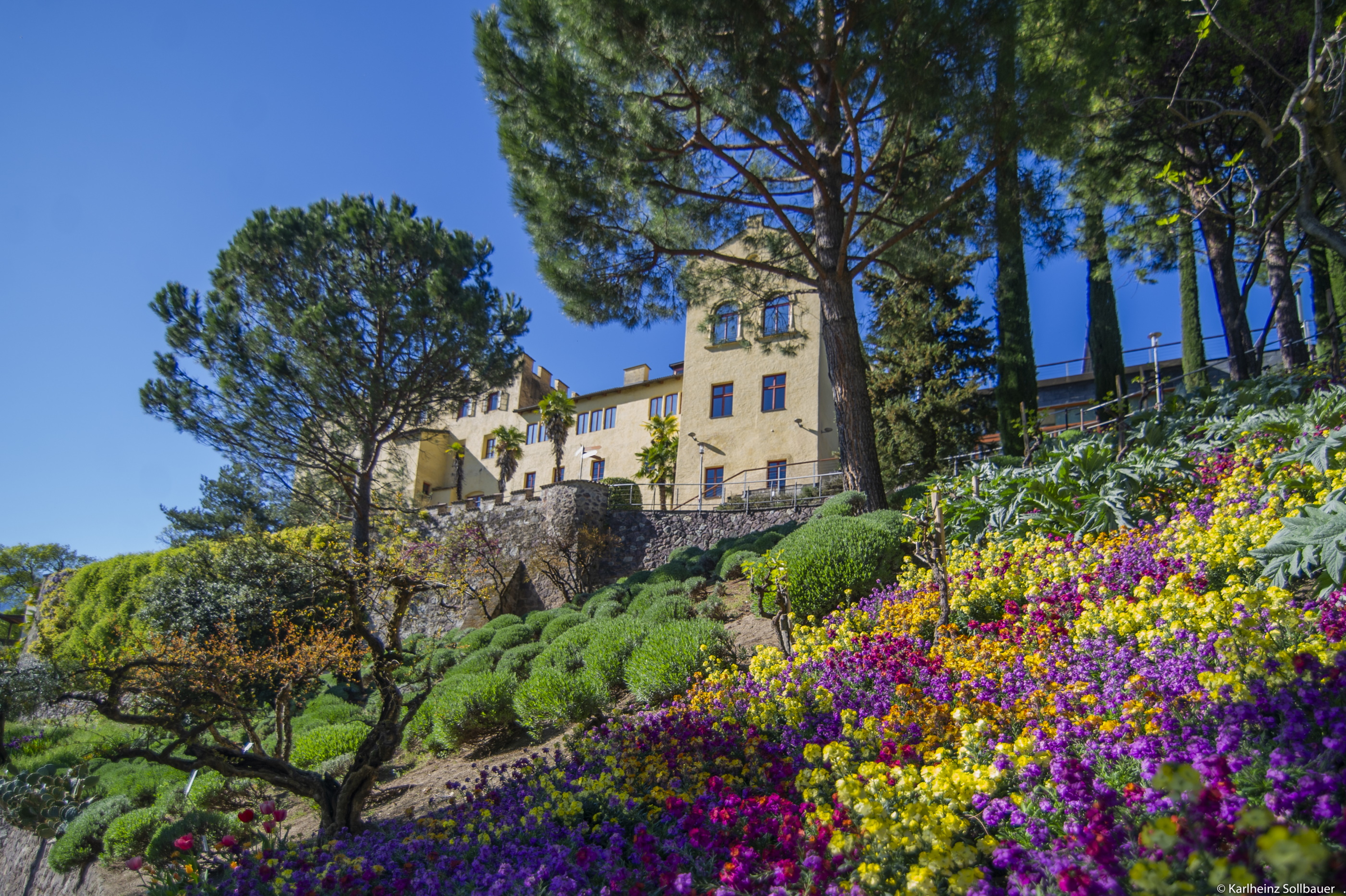 Domenica 14 GIUGNO 2026 - GIARDINI TRAUTTMANSDORFF in fiore: il rifugio segreto di Sissi